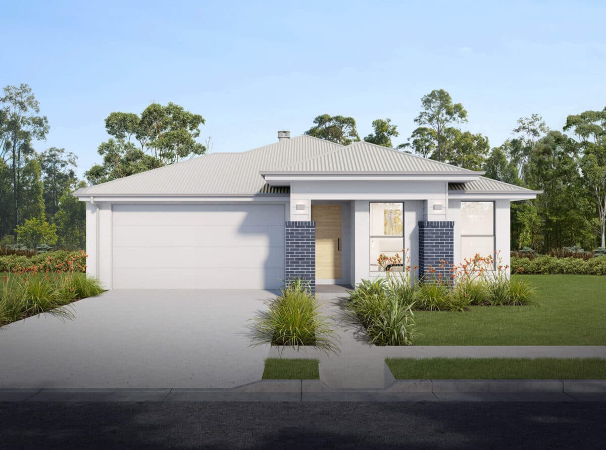 Banksia 216
